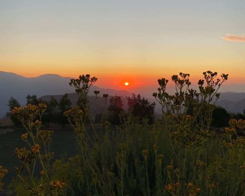 Pôr do sol sobre a vegetação da cordilheira