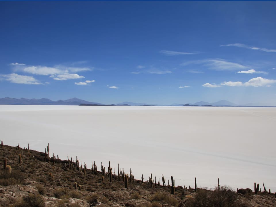 Salar de Uyuni visto da Isla Incahuasi